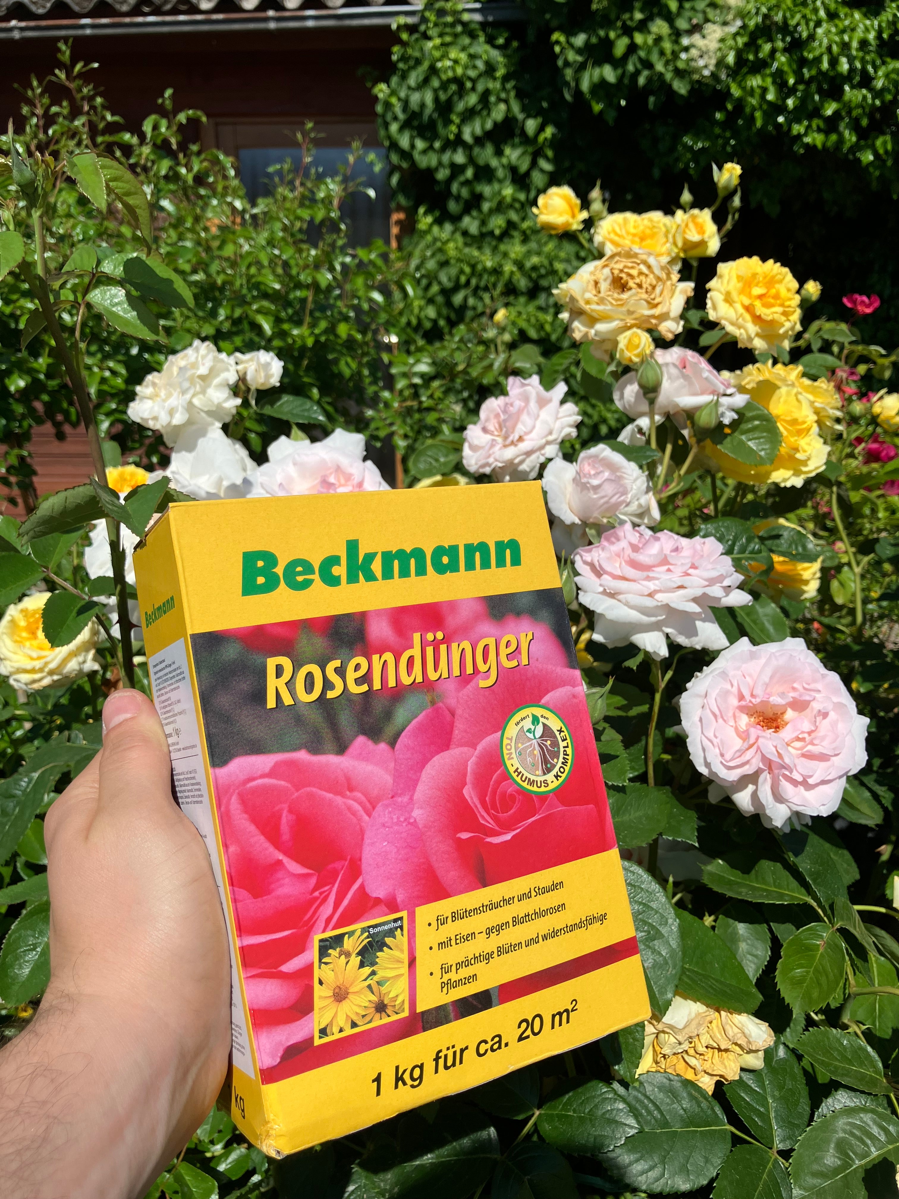 ROSENDÜNGER Beckmann im Garten